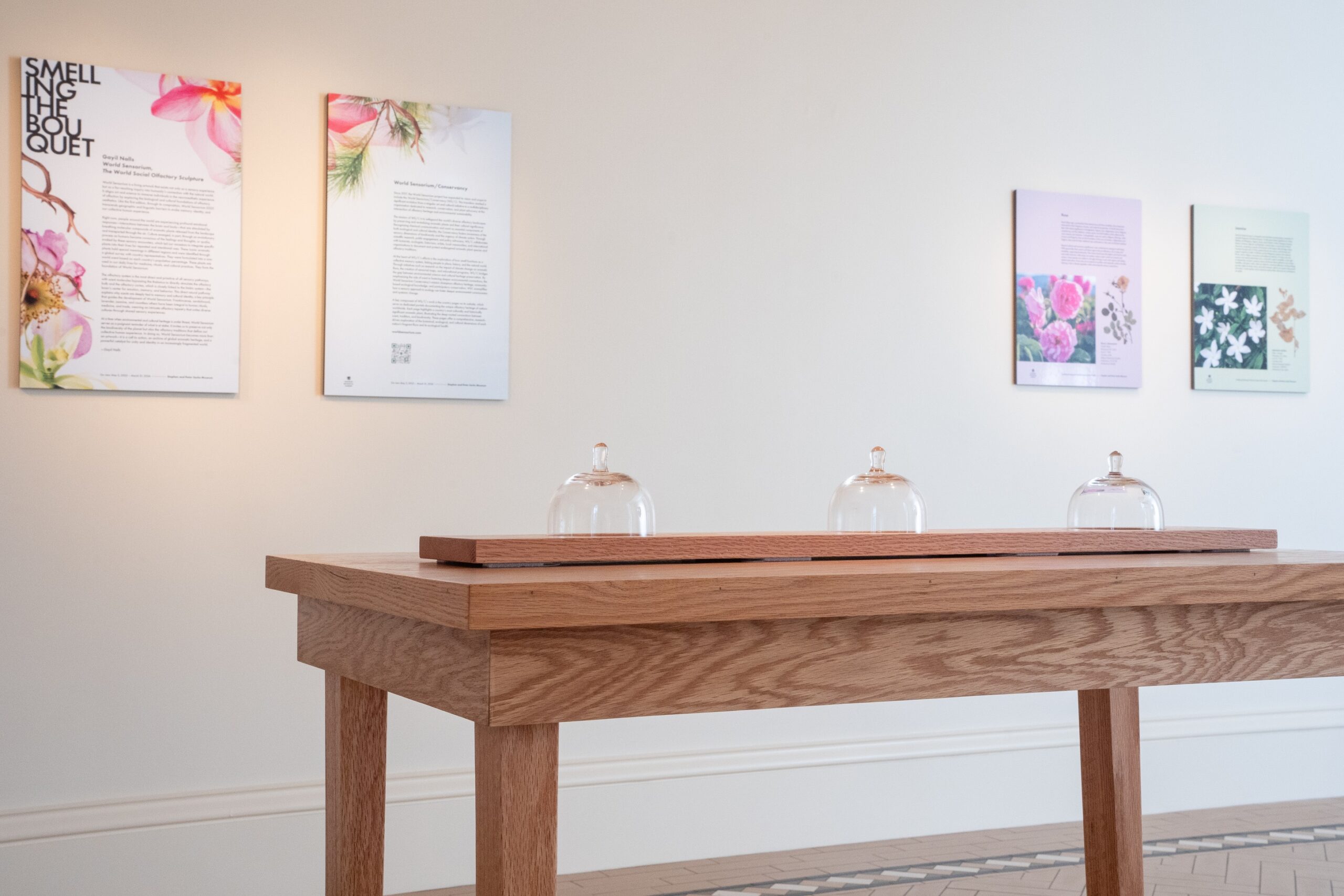 south gallery_world sensorium_virginia harold