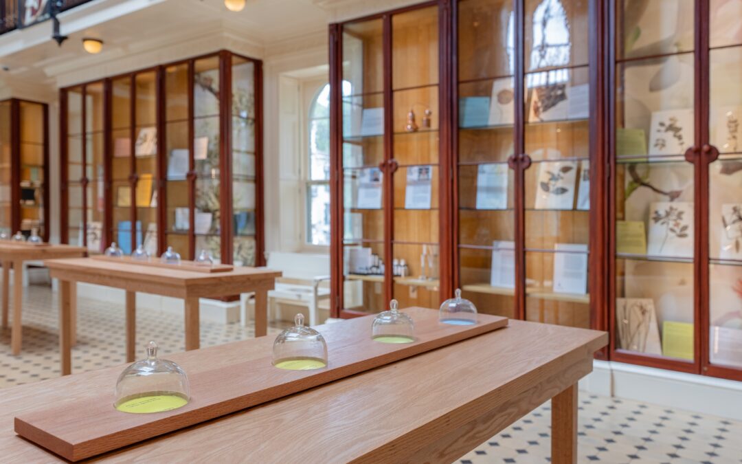 Notes from the Field #2: Stephen and Peter Sachs Museum