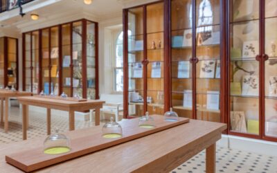 Notes from the Field #2: Stephen and Peter Sachs Museum