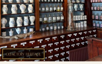 What is Olfactory Heritage? A Visual Guide